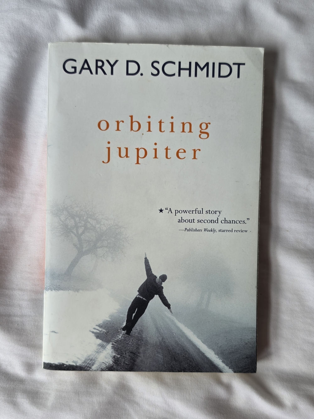 Orbiting Jupiter Paperback Book Good Condition